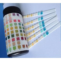 10 Parameters Uncut Sheet Urine Test Strips